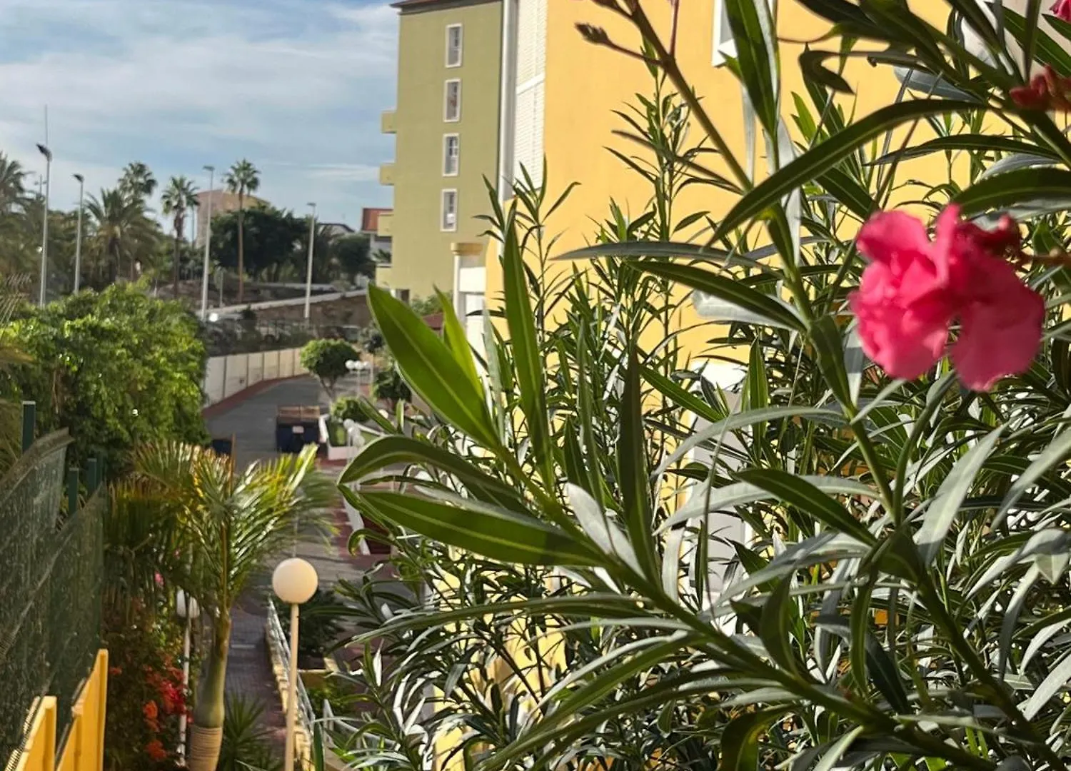 Sunset Star Orlando - Your Home Away From Home Costa Adeje  Costa Adeje (Tenerife)